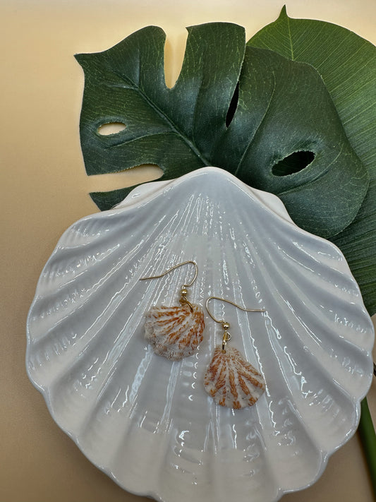 Seashell Symphony Earrings
