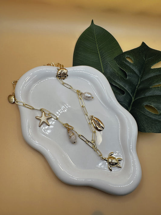 Charmed By The Coast